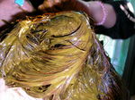 SANY0085.JPG